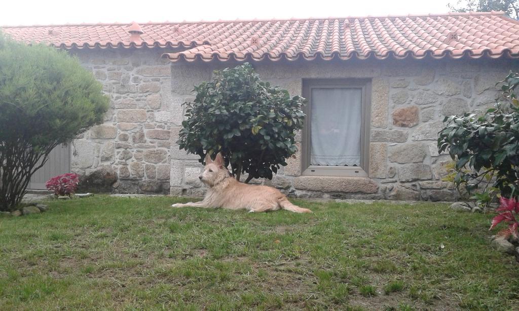 维拉·诺瓦·达·塞尔维尔Casa Maria Da Assuncao别墅 客房 照片